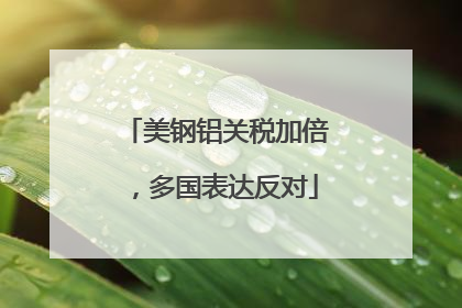 美钢铝关税加倍，多国表达反对