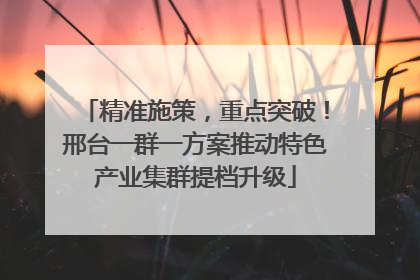 精准施策，重点突破！邢台一群一方案推动特色产业集群提档升级