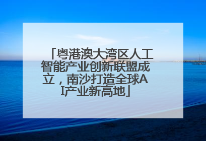 粤港澳大湾区人工智能产业创新联盟成立，南沙打造全球AI产业新高地