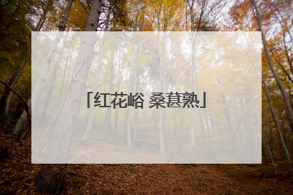 红花峪 桑葚熟