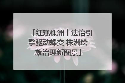 红观株洲丨法治引擎驱动蝶变 株洲绘就治理新图景
