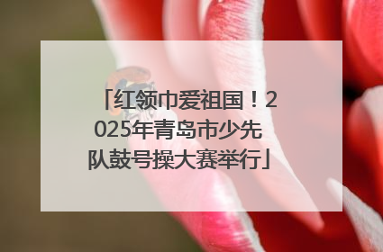 红领巾爱祖国！2025年青岛市少先队鼓号操大赛举行