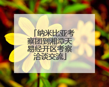 纳米比亚考察团到湘潭天易经开区考察洽谈交流