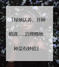 绿地认养、开种植课……治理圈地种菜有妙招