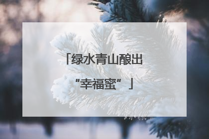 绿水青山酿出“幸福蜜”