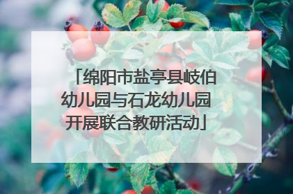 绵阳市盐亭县岐伯幼儿园与石龙幼儿园开展联合教研活动
