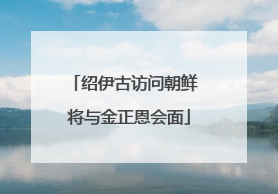 绍伊古访问朝鲜 将与金正恩会面