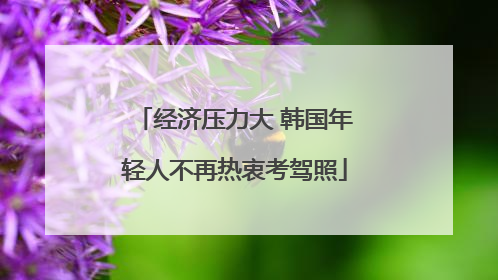 经济压力大 韩国年轻人不再热衷考驾照