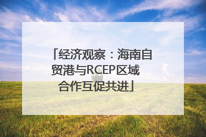 经济观察：海南自贸港与RCEP区域合作互促共进