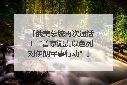 俄美总统再次通话！“普京谴责以色列对伊朗军事行动”