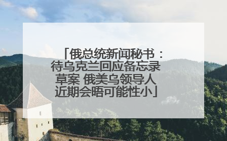 俄总统新闻秘书：待乌克兰回应备忘录草案 俄美乌领导人近期会晤可能性小