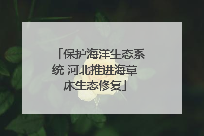保护海洋生态系统 河北推进海草床生态修复