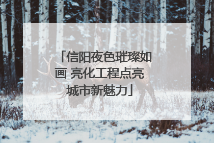 信阳夜色璀璨如画 亮化工程点亮城市新魅力