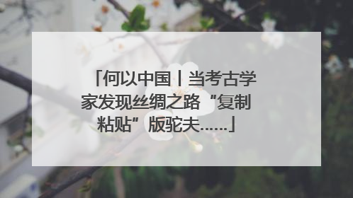 何以中国丨当考古学家发现丝绸之路“复制粘贴”版驼夫……