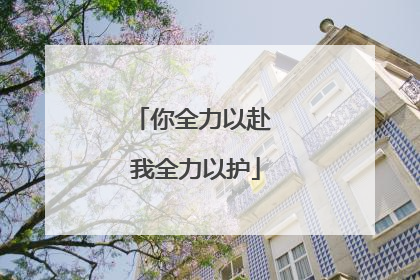 你全力以赴 我全力以护