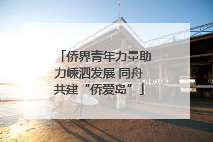 侨界青年力量助力嵊泗发展 同舟共建“侨爱岛”
