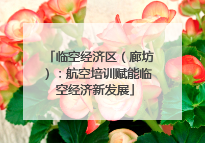 临空经济区（廊坊）：航空培训赋能临空经济新发展