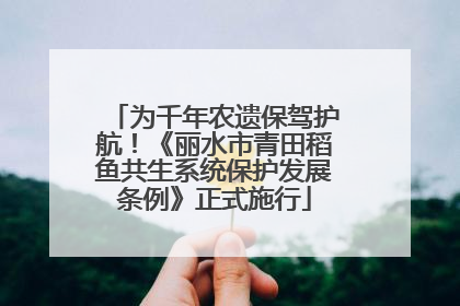 为千年农遗保驾护航！《丽水市青田稻鱼共生系统保护发展条例》正式施行