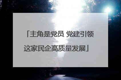 主角是党员 党建引领这家民企高质量发展