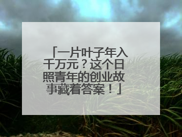 一片叶子年入千万元？这个日照青年的创业故事藏着答案！