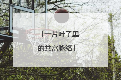 一片叶子里的共富脉络