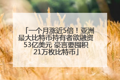 一个月涨近5倍！亚洲最大比特币持有者欲融资53亿美元 豪言要囤积21万枚比特币