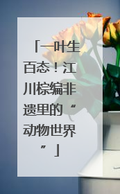 一叶生百态！江川棕编非遗里的“动物世界”