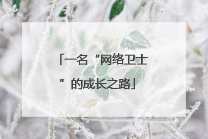 一名“网络卫士”的成长之路