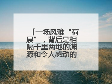 一场风雅“荷展”，背后是相隔千里两地的渊源和令人感动的历史人文情怀