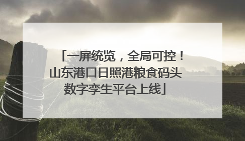 一屏统览，全局可控！山东港口日照港粮食码头数字孪生平台上线