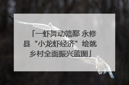 一虾舞动赣鄱 永修县“小龙虾经济”绘就乡村全面振兴蓝图