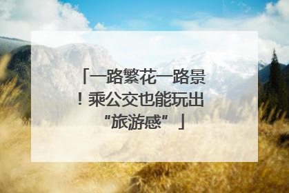 一路繁花一路景！乘公交也能玩出“旅游感”