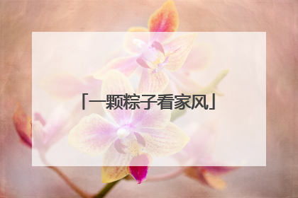 一颗粽子看家风