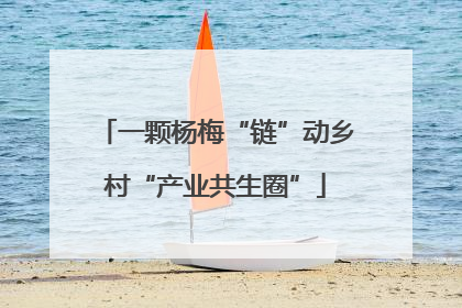 一颗杨梅“链”动乡村“产业共生圈”