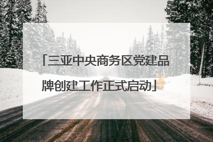 三亚中央商务区党建品牌创建工作正式启动