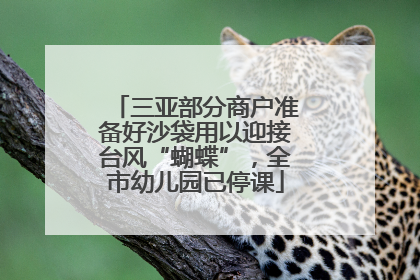 三亚部分商户准备好沙袋用以迎接台风“蝴蝶”，全市幼儿园已停课