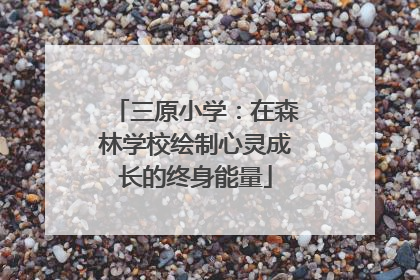 三原小学：在森林学校绘制心灵成长的终身能量