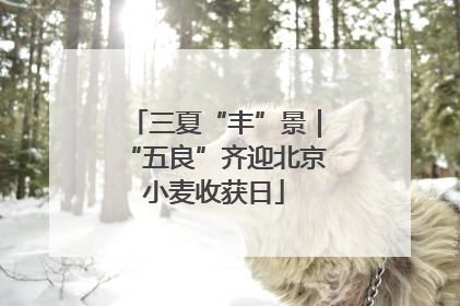 三夏“丰”景｜“五良”齐迎北京小麦收获日