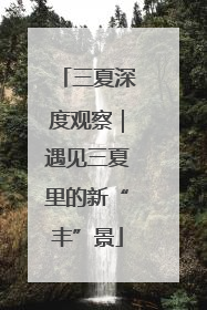 三夏深度观察｜遇见三夏里的新“丰”景