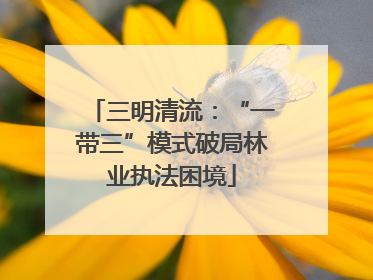 三明清流：“一带三”模式破局林业执法困境