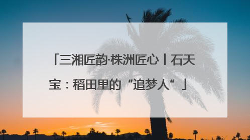 三湘匠韵·株洲匠心丨石天宝：稻田里的“追梦人”