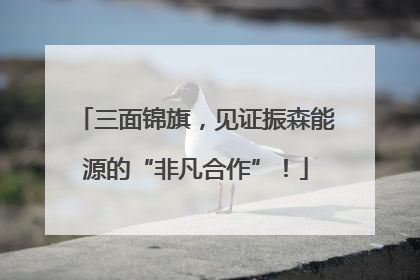 三面锦旗，见证振森能源的“非凡合作”！
