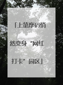上第摩码悄然变身“网红打卡”园区