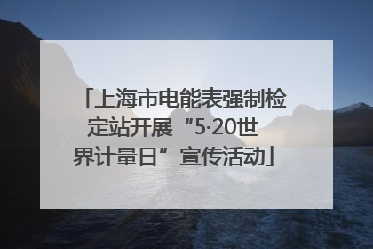 上海市电能表强制检定站开展“5·20世界计量日”宣传活动