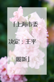 上海市委决定：王平履新