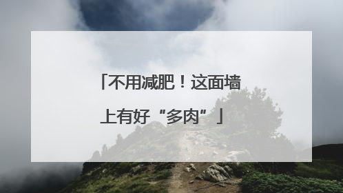 不用减肥！这面墙上有好“多肉”