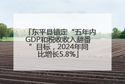 东平县锚定“五年内GDP和税收收入翻番”目标，2024年同比增长5.8%