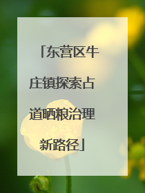 东营区牛庄镇探索占道晒粮治理新路径