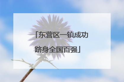 东营区一镇成功跻身全国百强