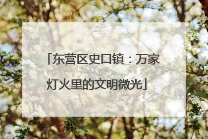 东营区史口镇：万家灯火里的文明微光